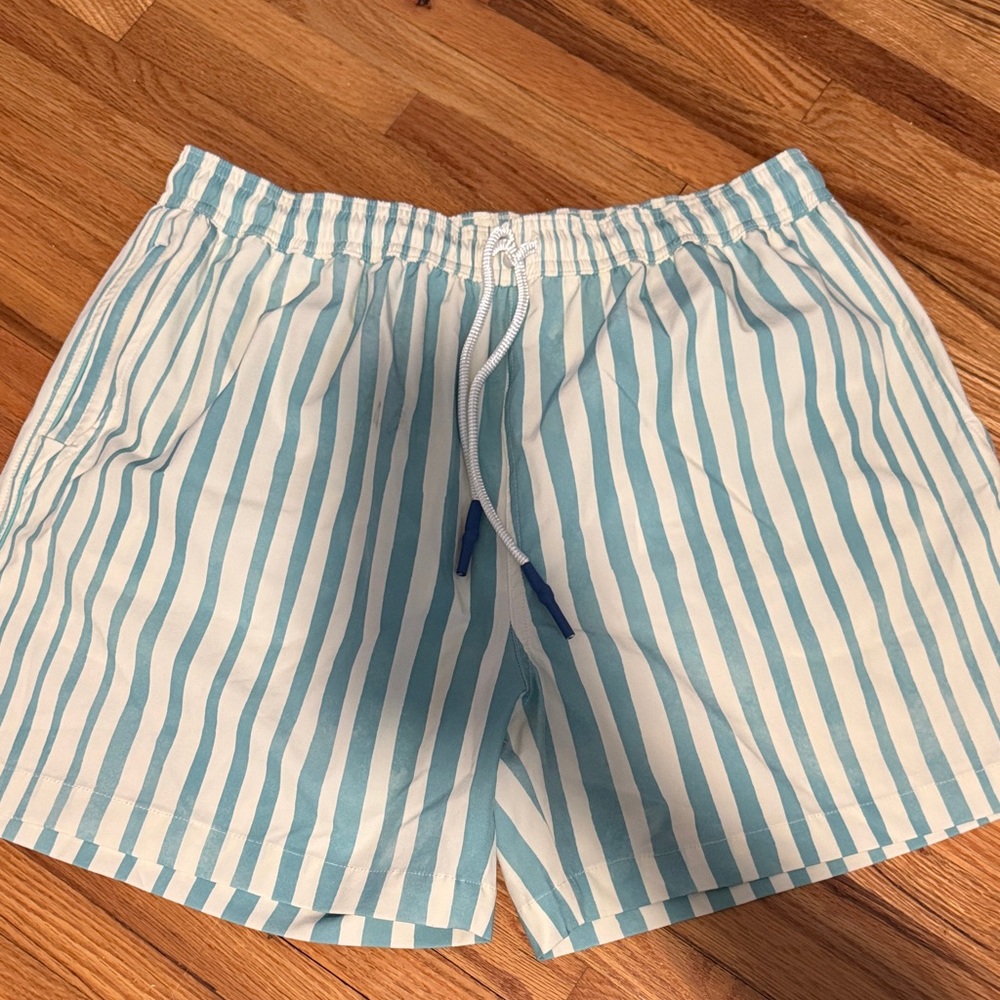 Aqua and White Striped Men's Swim Trunks